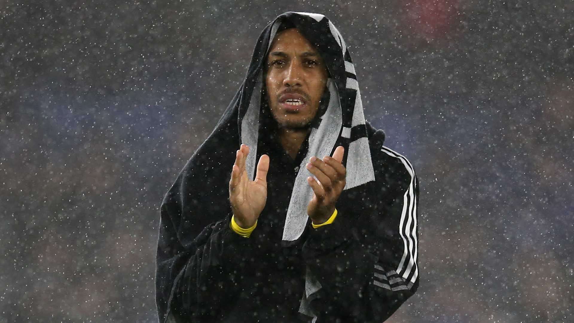 这将给沃尔 这将给沃尔