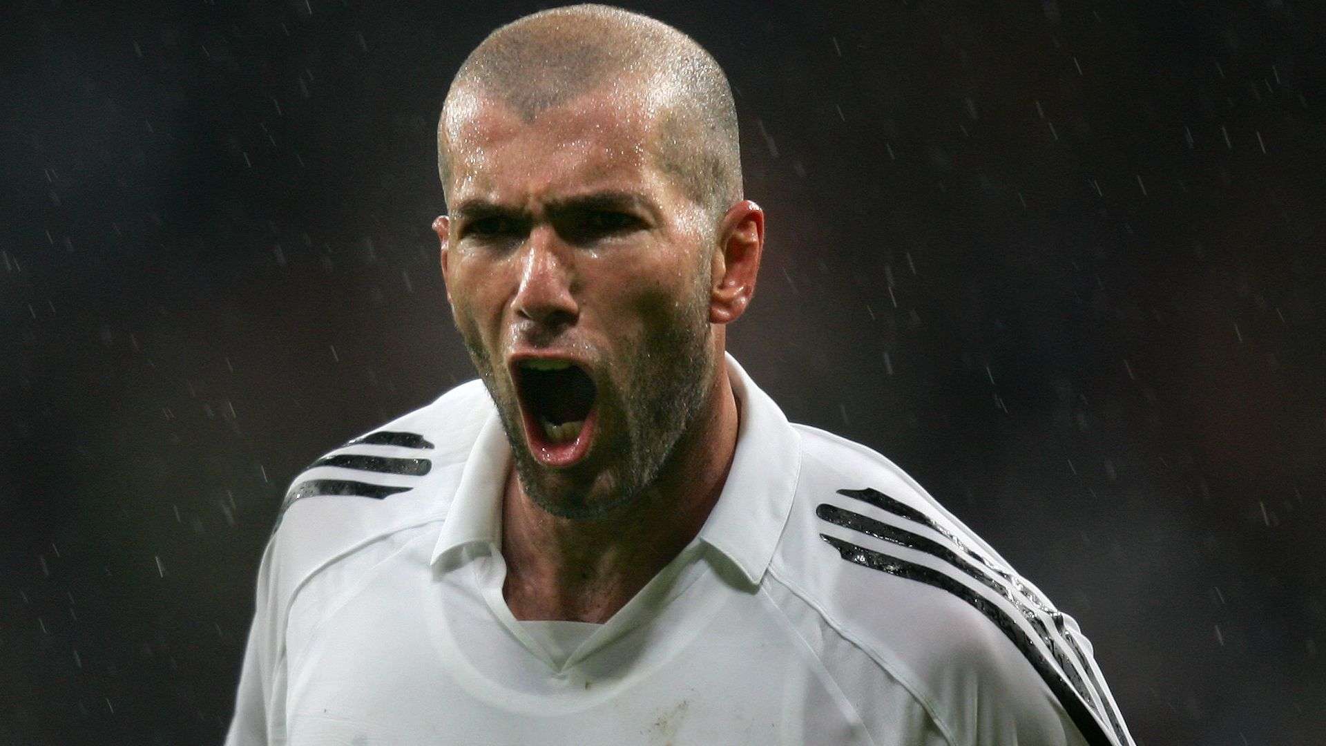 更是团体智 更是团体智